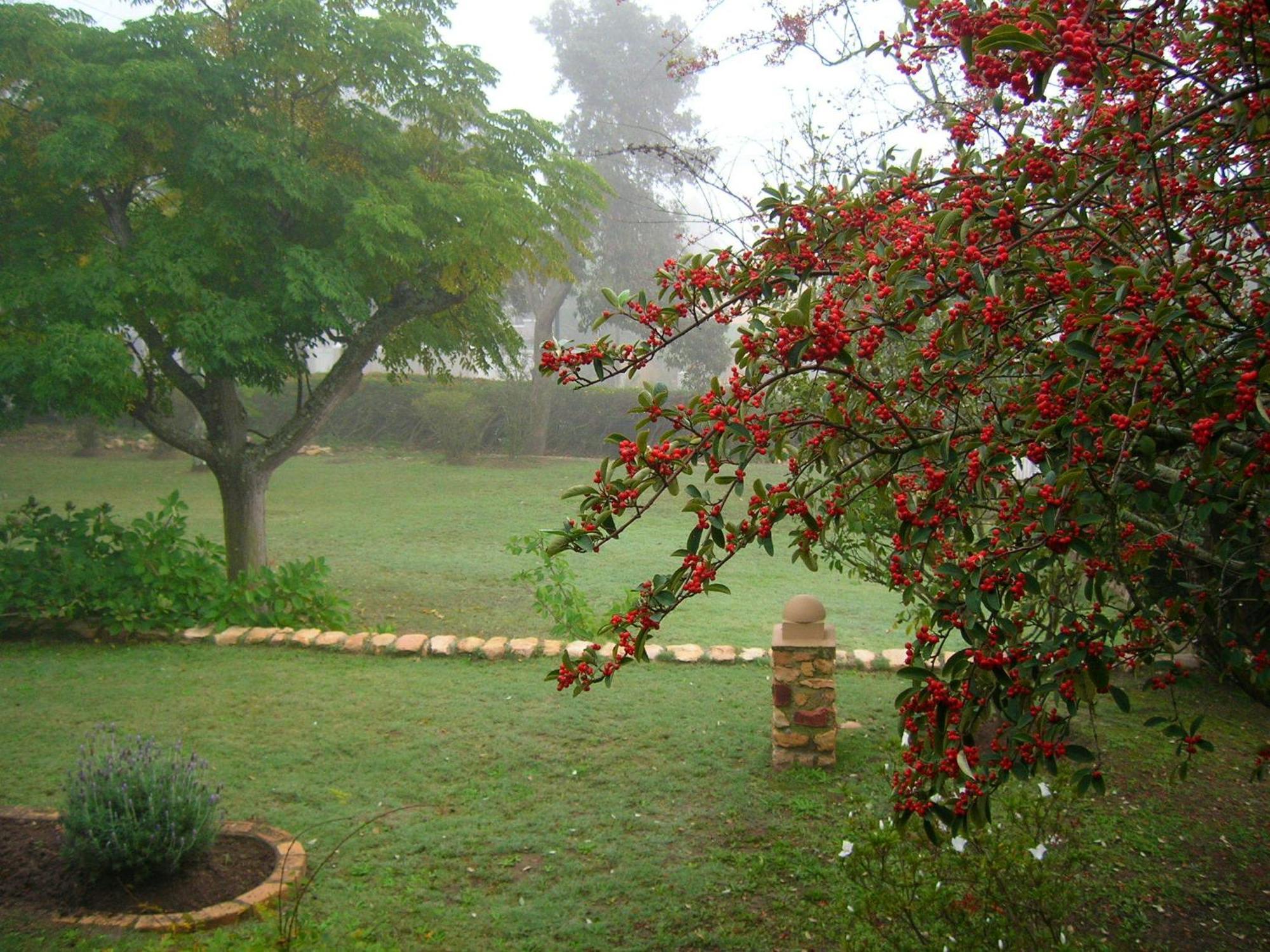 Dempsey'S Self-Catering Guest House Port Elizabeth Exterior foto